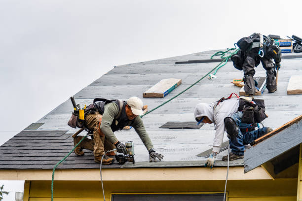 Professional Roofing technician working in Medina, NY